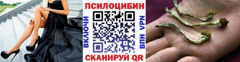 omg   Карабулак  Галлюциногенные грибы мицелий 