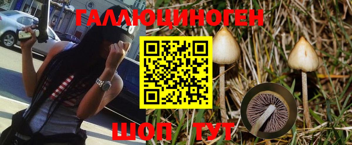 Галлюциногенные грибы MAGIC MUSHROOMS Карабулак